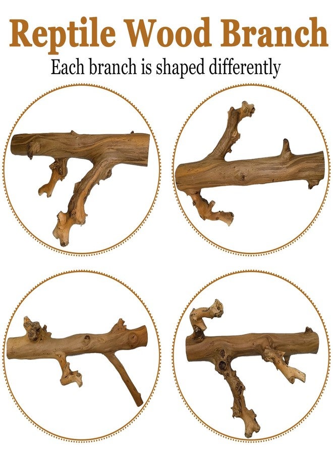 كاثسون غصنان لتسلق الثعابين من كاثرون، زينة أغصان خشبية للزواحف، إكسسوارات تسلق خشبية مصقولة طبيعية للسحالي، زينة جذوع الأشجار لأحواض الزواحف، مناسبة للتنانين الملتحية، والوزغات، والحرباء، والضفادع. - Image 3